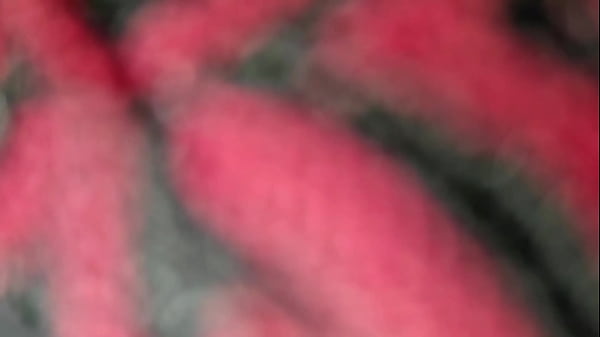 Suzie Slut e Mano Nico em fodendo com amigo do filho – Gratis