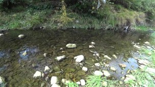 EVERYONE LOOK! EDUCATIONAL BEAUTIFUL VIDEO I TRIED and we were caught in the forest!)