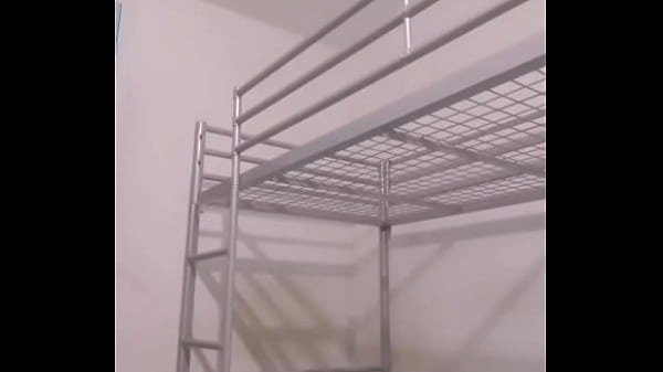 Nigarchrist – update #2052 – Petal 20251025 010156 – Oct 25, 2025