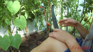 sucked and fucked myself with a cucumber. finished with a squirt