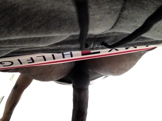 Let It Flow VII BIG toy edition Black and Ebony